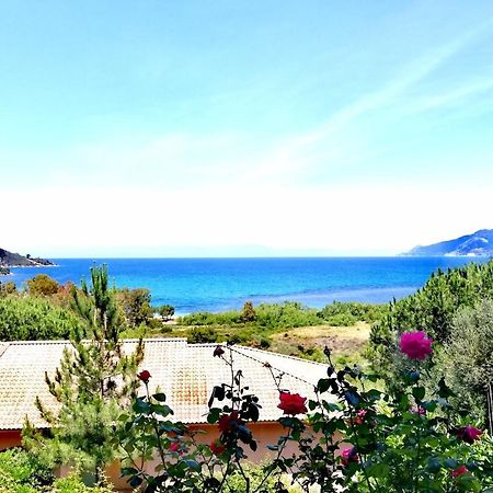 Residence Suarella Saint-Florent  Exterior foto